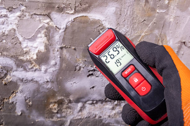 Best Attic Mold Removal  in Mullens, WV
